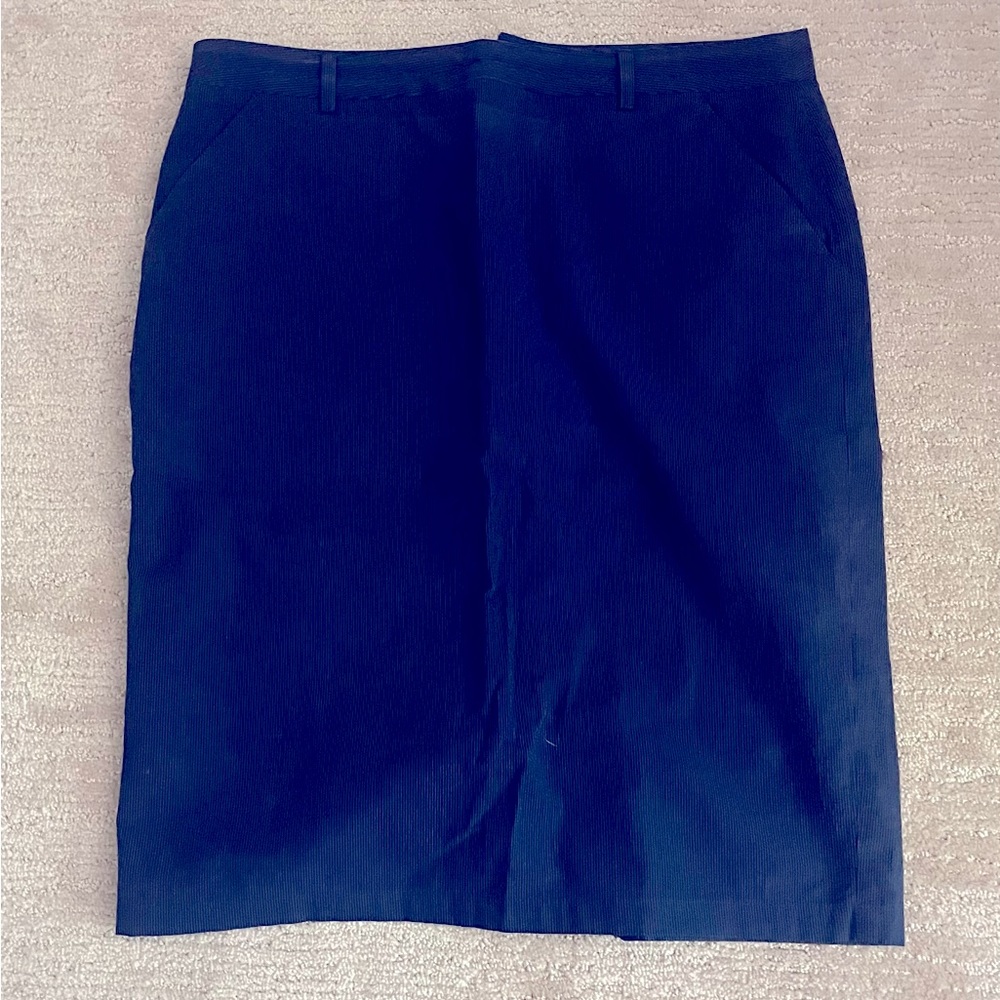 Agnes B skirt Paris 40 US 8.